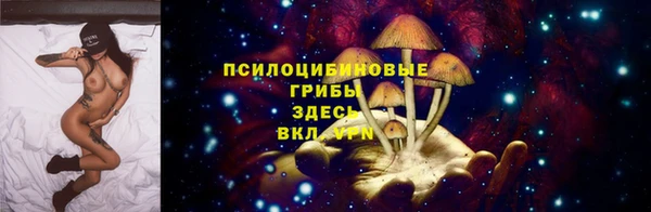 трава Алексин