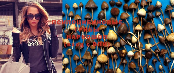 бутират Алзамай